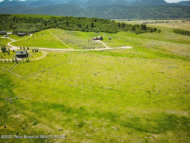 TBD Snowberry Lane, Irwin, ID 83428 - photo 7