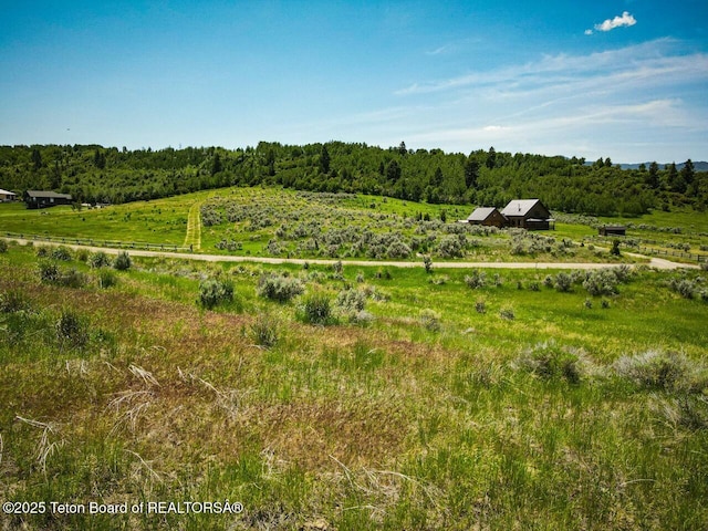 TBD Snowberry Lane, Irwin, ID 83428 - photo 12
