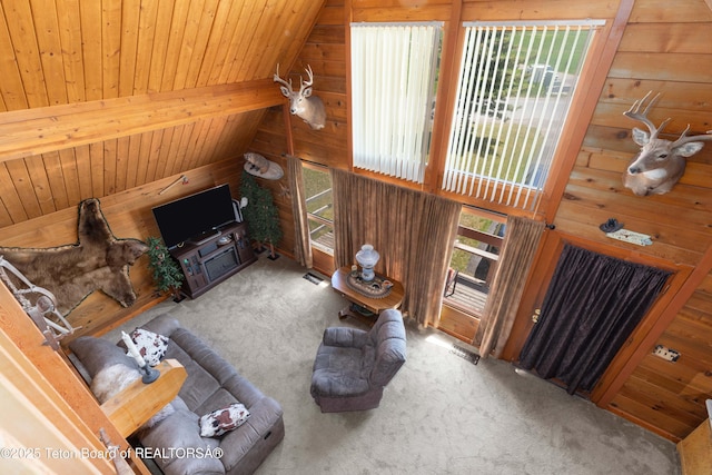 11 E St, Star Valley Ranch, WY 83127 - living area featuring carpet flooring, wood walls, wooden ceiling, and lofted ceiling