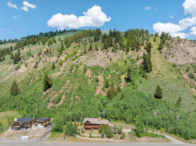 14570 S Wagon Rd, Hoback Jct, WY 83001 - photo 23