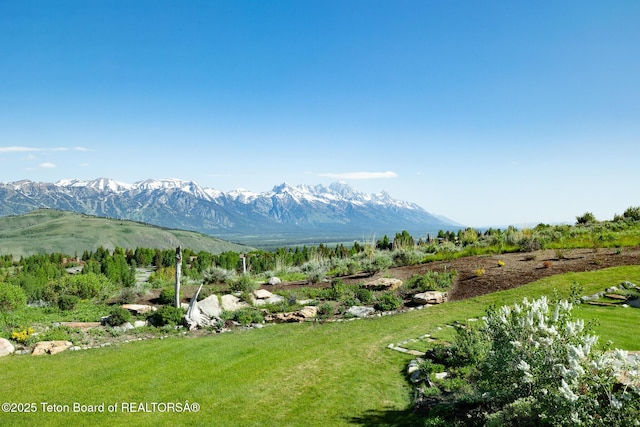 1435 N Lower Ridge Rd, Jackson, WY 83001 - photo 5