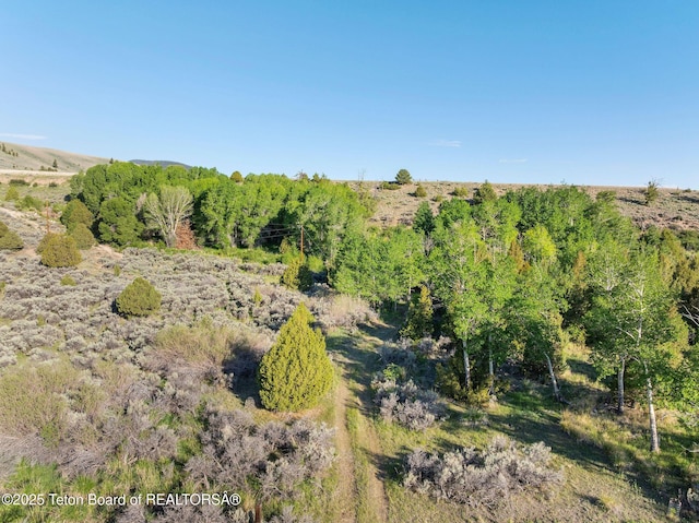 53 Schenck Ln, Dubois, WY 82513 - view of undeveloped land