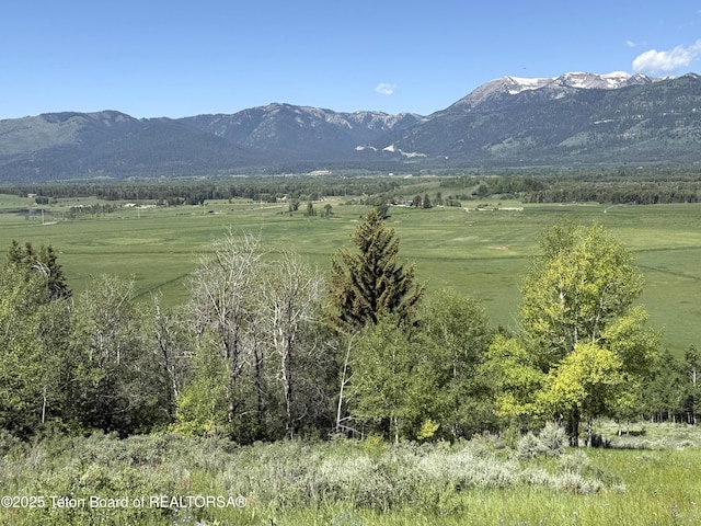 1520 N Pratt Rd, Jackson, WY 83001 - mountain view featuring rural landscape