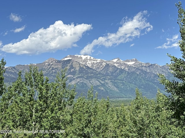 1520 N Pratt Rd, Jackson, WY 83001 - view of mountain backdrop