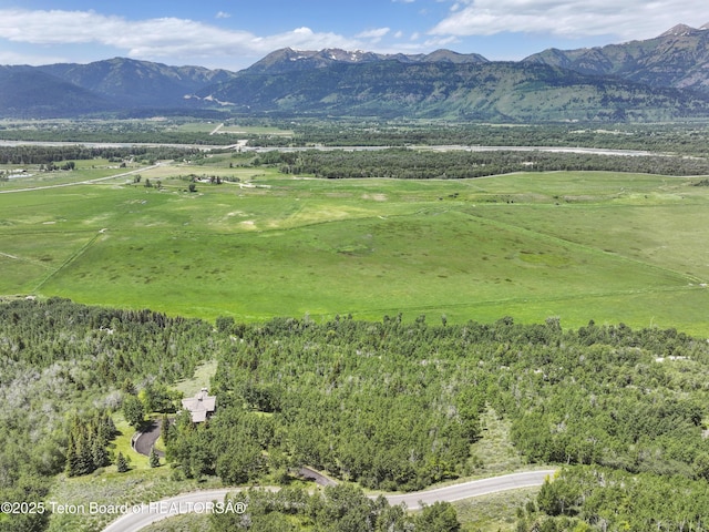 1520 N Pratt Rd, Jackson, WY 83001 - view of mountain background