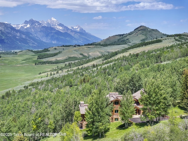 1520 N Pratt Rd, Jackson, WY 83001 - view of mountain backdrop with a heavily wooded area