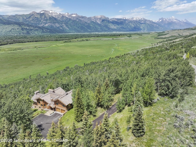 1520 N Pratt Rd, Jackson, WY 83001 - aerial view of property and surrounding area with mountains