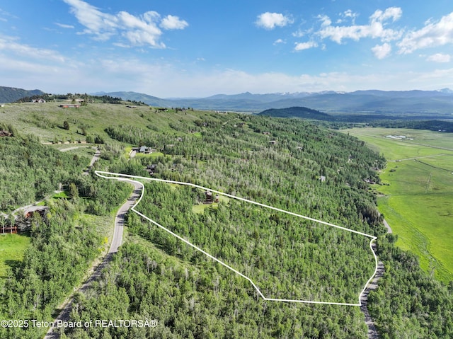 1520 N Pratt Rd, Jackson, WY 83001 - view of rural area featuring mountains and property parcel outlined