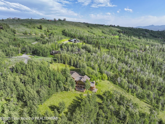 1520 N Pratt Rd, Jackson, WY 83001 - aerial overview of property's location featuring a forest