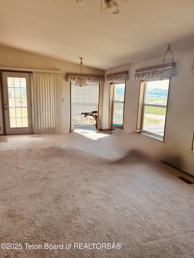 218 C M R Ln, Etna, WY 83118 - photo 11