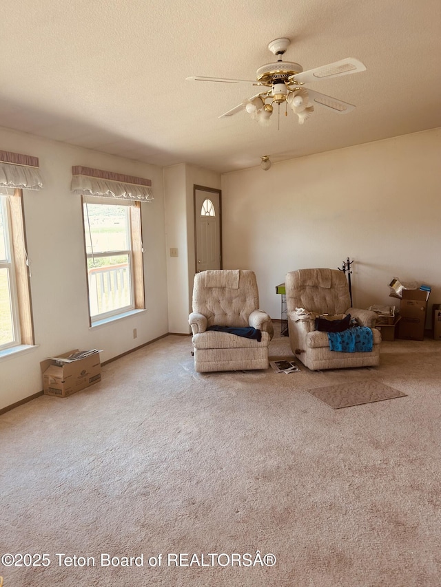 218 C M R Ln, Etna, WY 83118 - photo 18