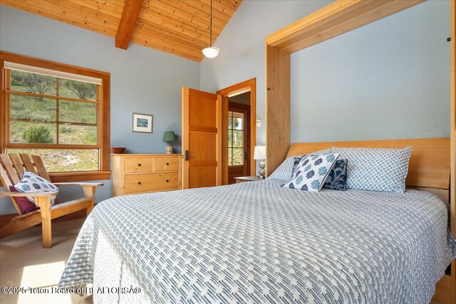 5248 S 4500 W, Victor, ID 83455 - photo 44