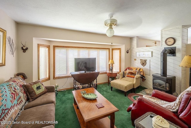 630 Lincoln St, Afton, WY 83110 - photo 10
