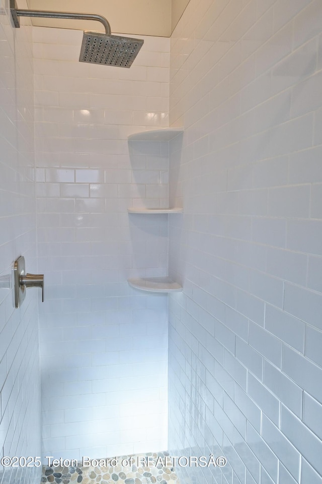 436 E Little Ave, Driggs, ID 83422 - full bathroom with a tile shower