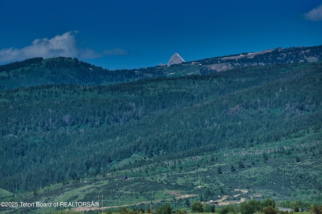 1870 W 10250 S, Victor, ID 83455