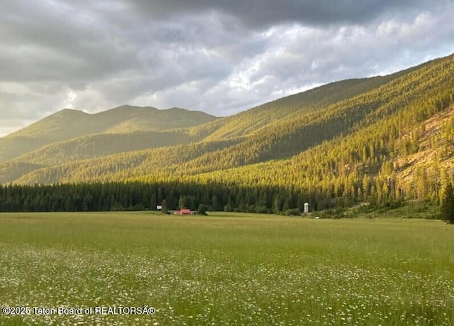 2398 Pine Creek Rd, Yaak, MT 59935