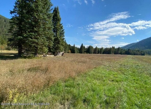 2398 Pine Creek Rd, Yaak, MT 59935