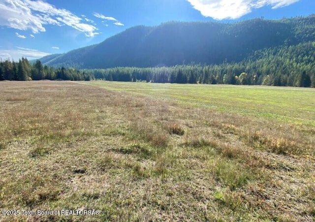 2398 Pine Creek Rd, Yaak, MT 59935