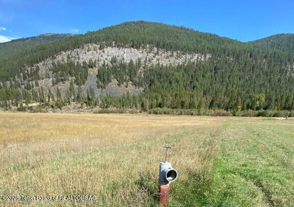 2398 Pine Creek Rd, Yaak, MT 59935