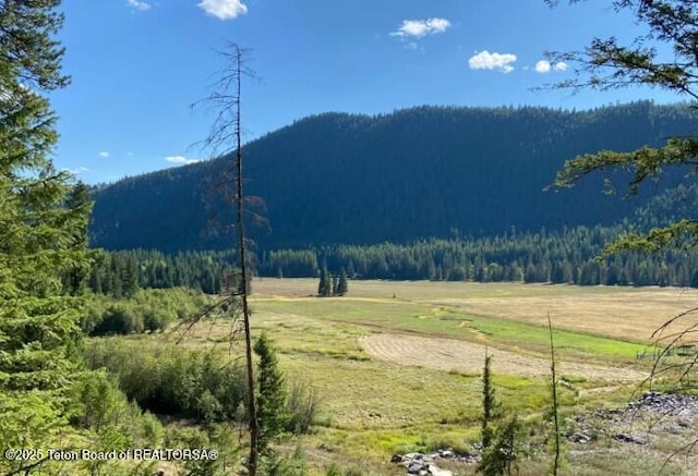 2398 Pine Creek Rd, Yaak, MT 59935