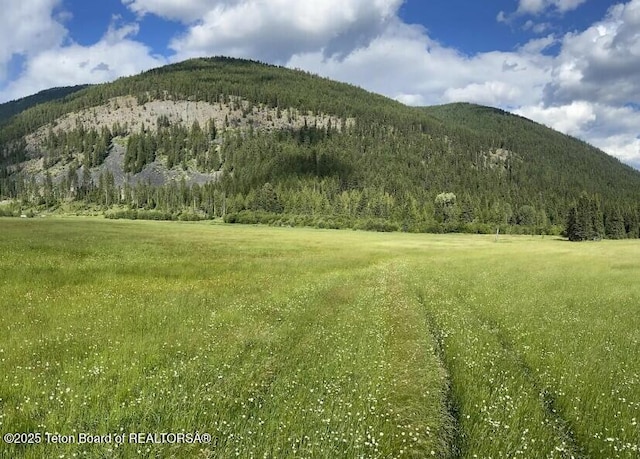 2398 Pine Creek Rd, Yaak, MT 59935
