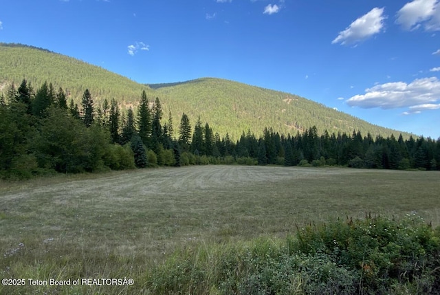 2398 Pine Creek Rd, Yaak, MT 59935