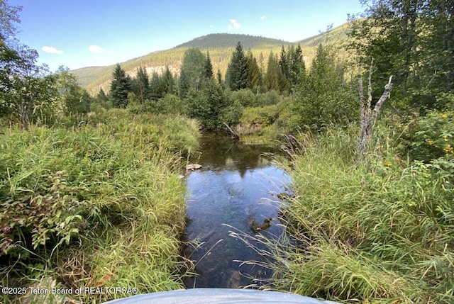 2398 Pine Creek Rd, Yaak, MT 59935