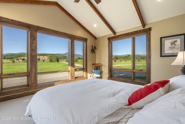 450 Salt River Ranch Ln, Thayne, WY 83127 - photo 41