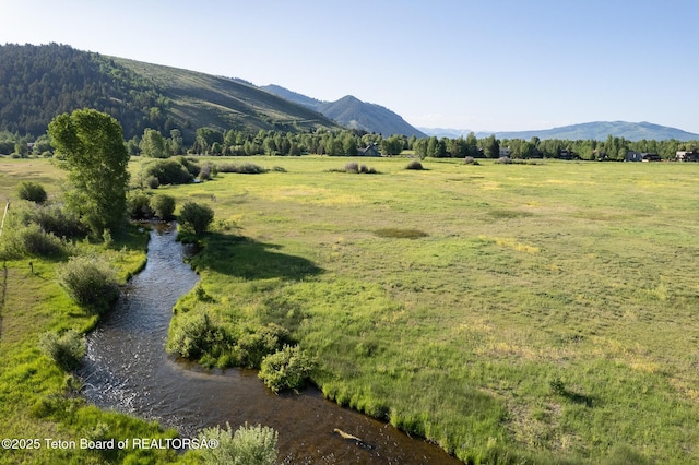 855 S Tribal Trail Rd, Jackson, WY 83001 - photo 6