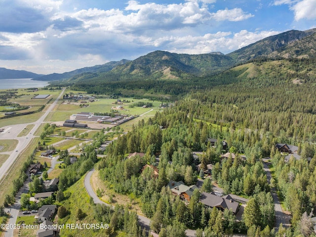 445 Aspen Ridge Trl, Alpine, WY 83128 - aerial overview of property's location with mountains and a heavily wooded area