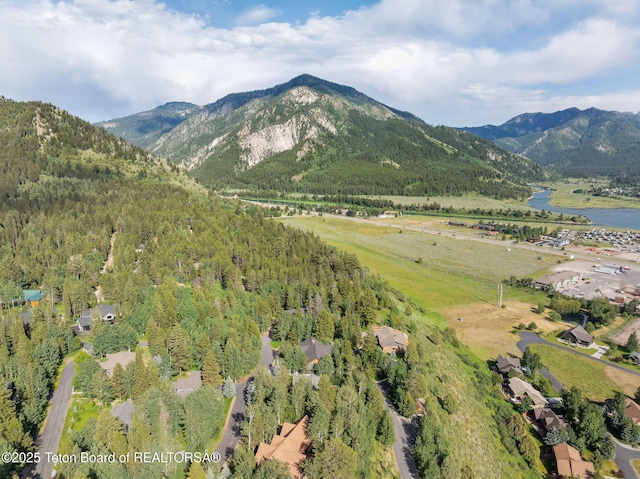 445 Aspen Ridge Trl, Alpine, WY 83128 - view of mountain backdrop with a heavily wooded area and a nearby body of water