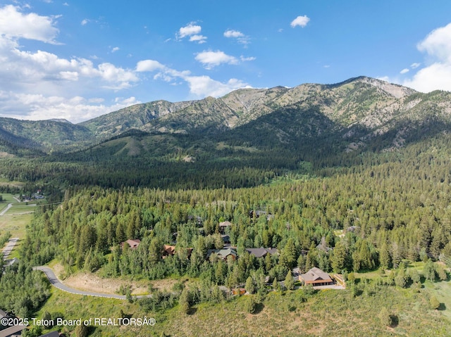 445 Aspen Ridge Trl, Alpine, WY 83128 - mountain view featuring a heavily wooded area