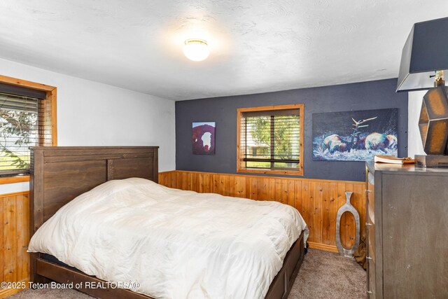 247 Cottage Ln, Alpine, WY 83128 - photo 17