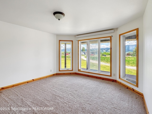 471 Worton Ln, Auburn, WY 83111 - photo 34