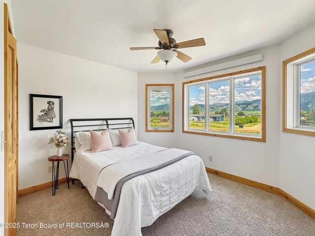 471 Worton Ln, Auburn, WY 83111 - photo 38