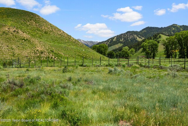 3355 E Horse Creek Rd, Jackson, WY 83001 - photo 25