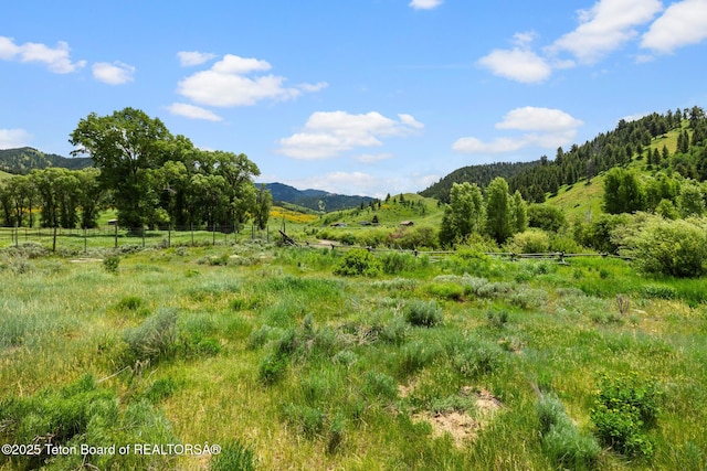 3355 E Horse Creek Rd, Jackson, WY 83001 - photo 5