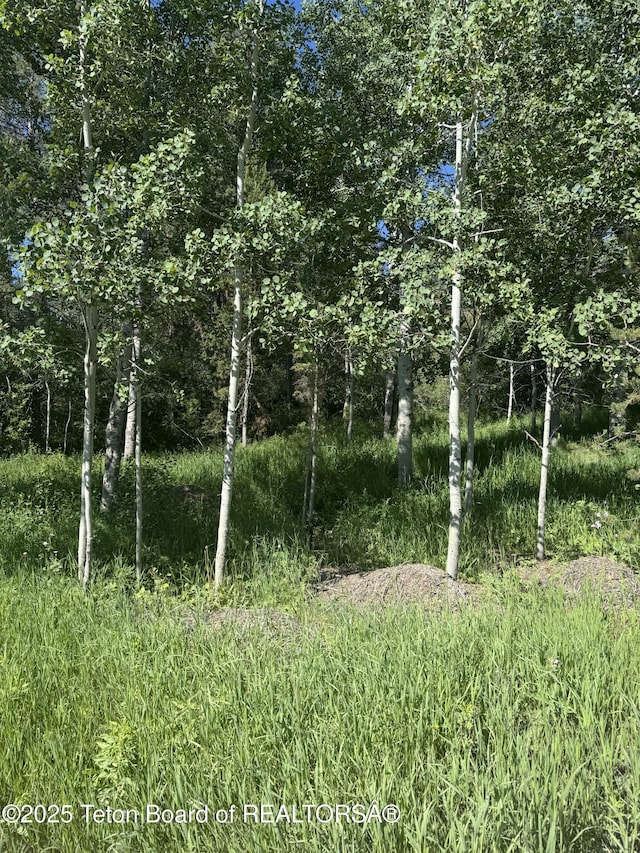 L22 Caribou Forest Dr, Alpine, WY 83128 - photo 1