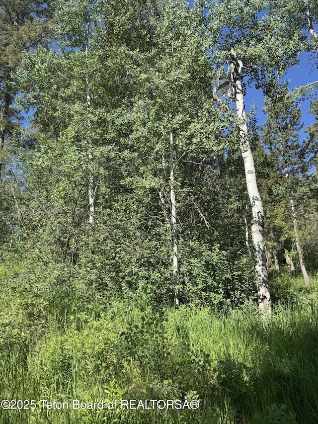 L22 Caribou Forest Dr, Alpine, WY 83128 - photo 5