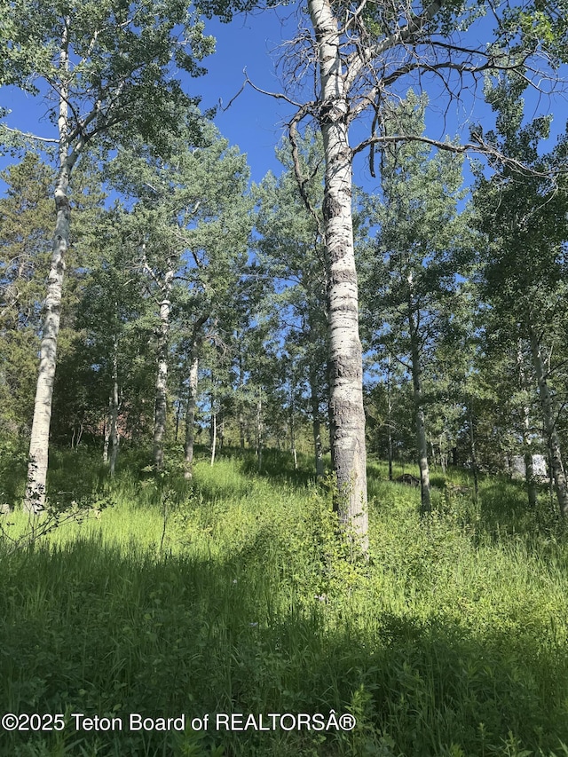 L22 Caribou Forest Dr, Alpine, WY 83128 - photo 6