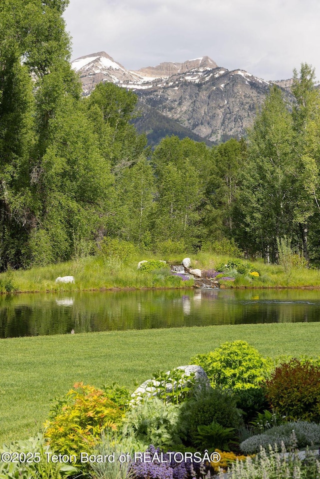 2900 W Yellowbell Cir, Wilson, WY 83014 - photo 44