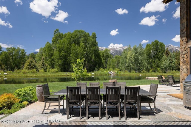 2900 W Yellowbell Cir, Wilson, WY 83014 - photo 33