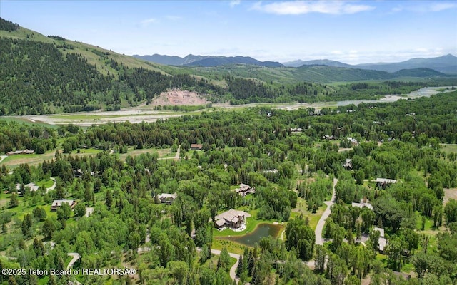2900 W Yellowbell Cir, Wilson, WY 83014 - photo 47