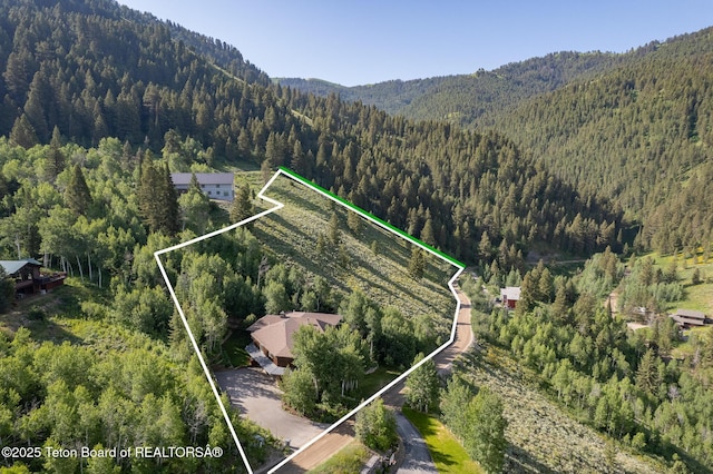 1100 E Deer Creek Dr, Jackson, WY 83001 - photo 65