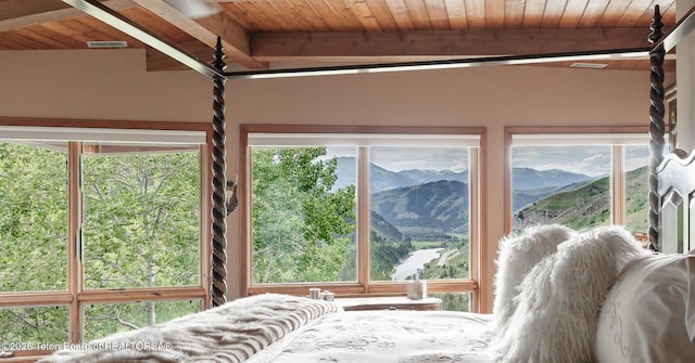 1100 E Deer Creek Dr, Jackson, WY 83001 - photo 26