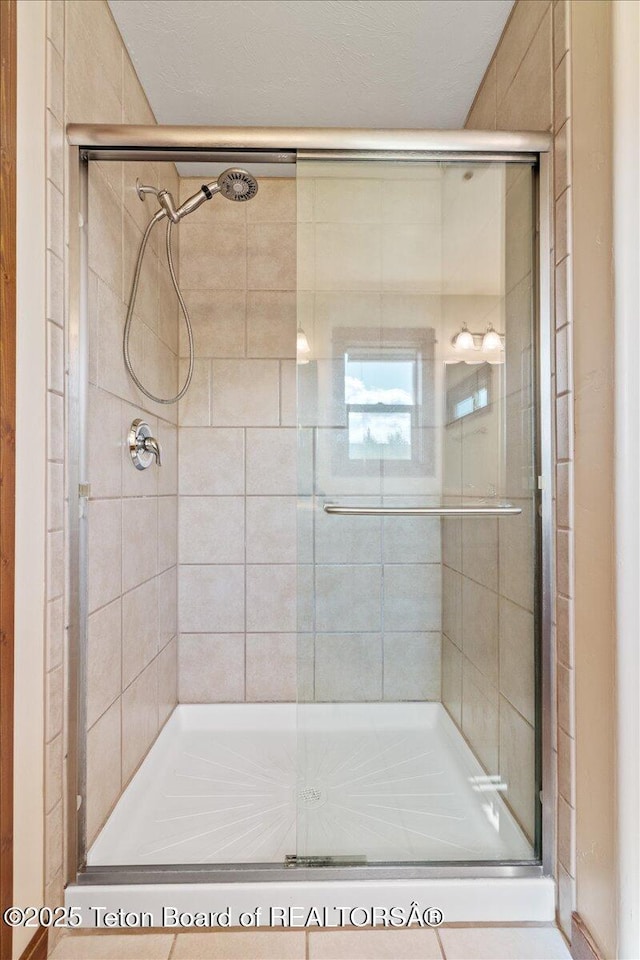 172 Brome Dr, Victor, ID 83455 - bathroom with a stall shower