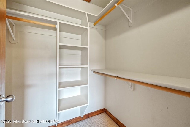 172 Brome Dr, Victor, ID 83455 - view of walk in closet