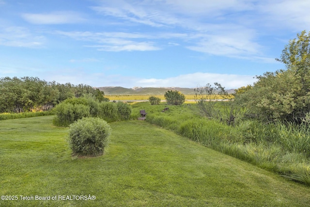 3953 Adams Rd, Driggs, ID 83422 - view of green lawn featuring a rural view and a mountain view