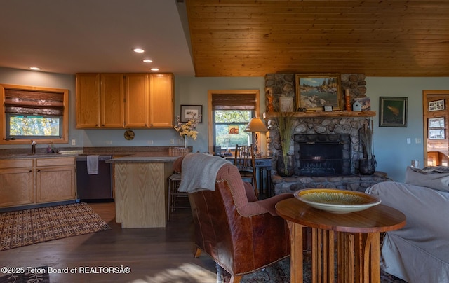 3953 Adams Rd, Driggs, ID 83422 - kitchen featuring stainless steel dishwasher, dark wood-type flooring, a fireplace, open floor plan, and recessed lighting