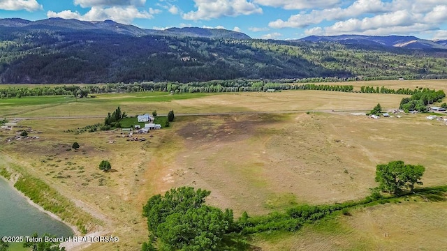 TBD Swan Valley Highway, Irwin, ID 83428 - photo 5